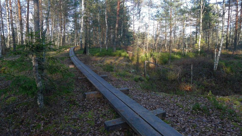 Jalase loodusrada (2 km) Loodusega koos RMK